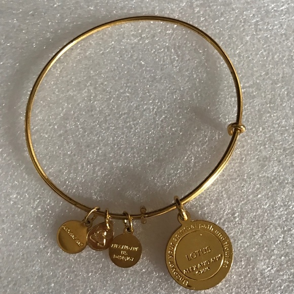 Alex and Ani Expandable Wire Bracelet - Picture 5 of 12